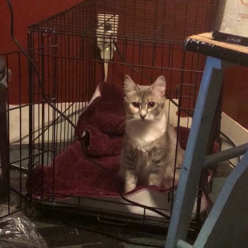 Meet your Posher, Jenn